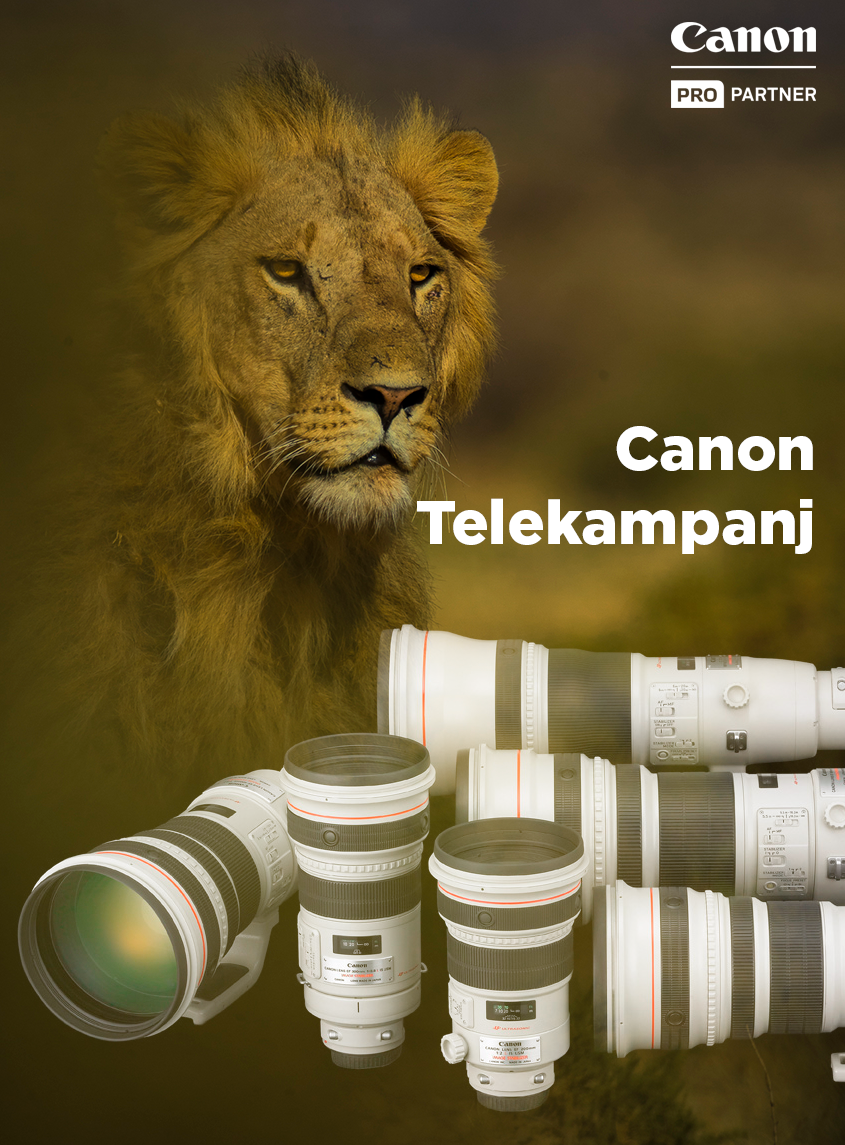 Canon